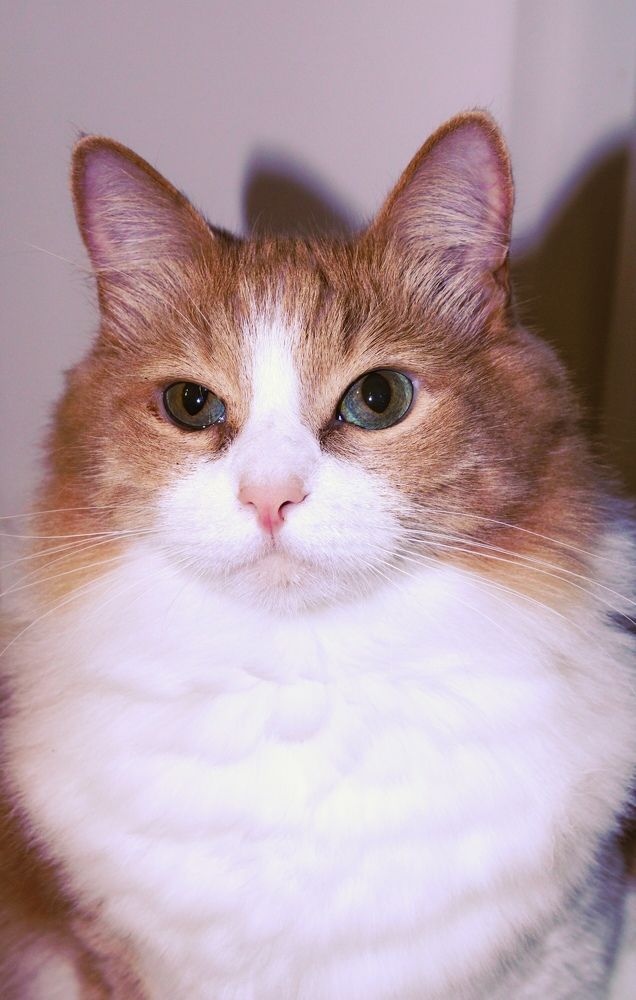 Photograph by Анастасия Липаткина