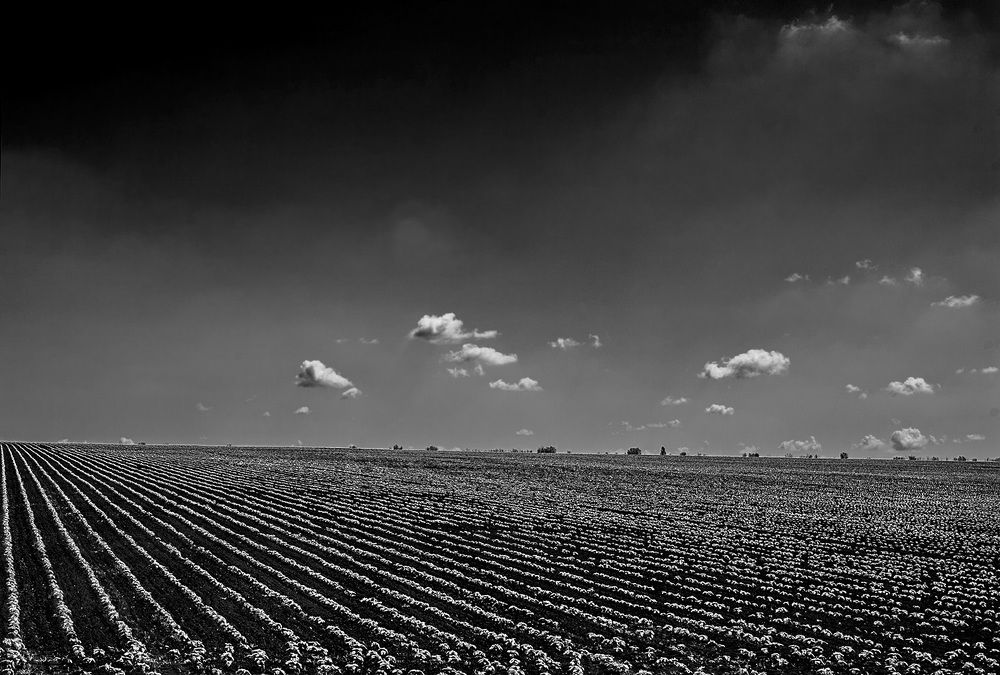 Photograph by Дмитрий Матвеев