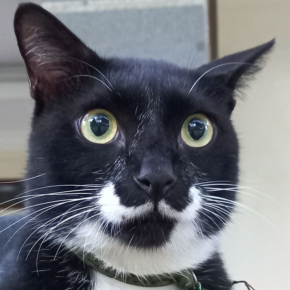 Photograph by Pujo Cahyono