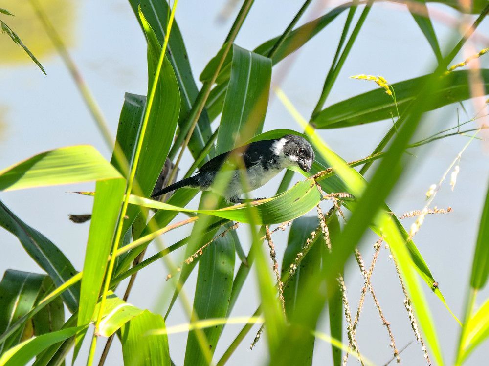 Photograph by Patrícia Helena