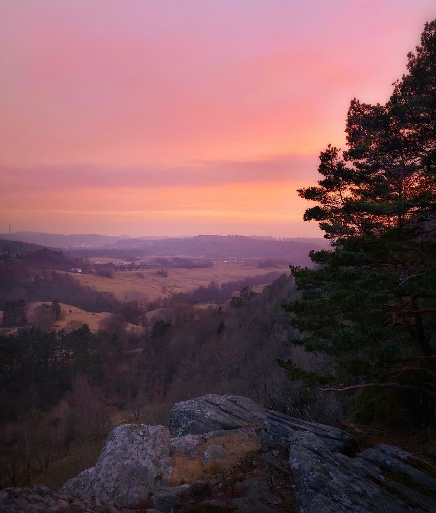 Фотография автора Alina Filimonova