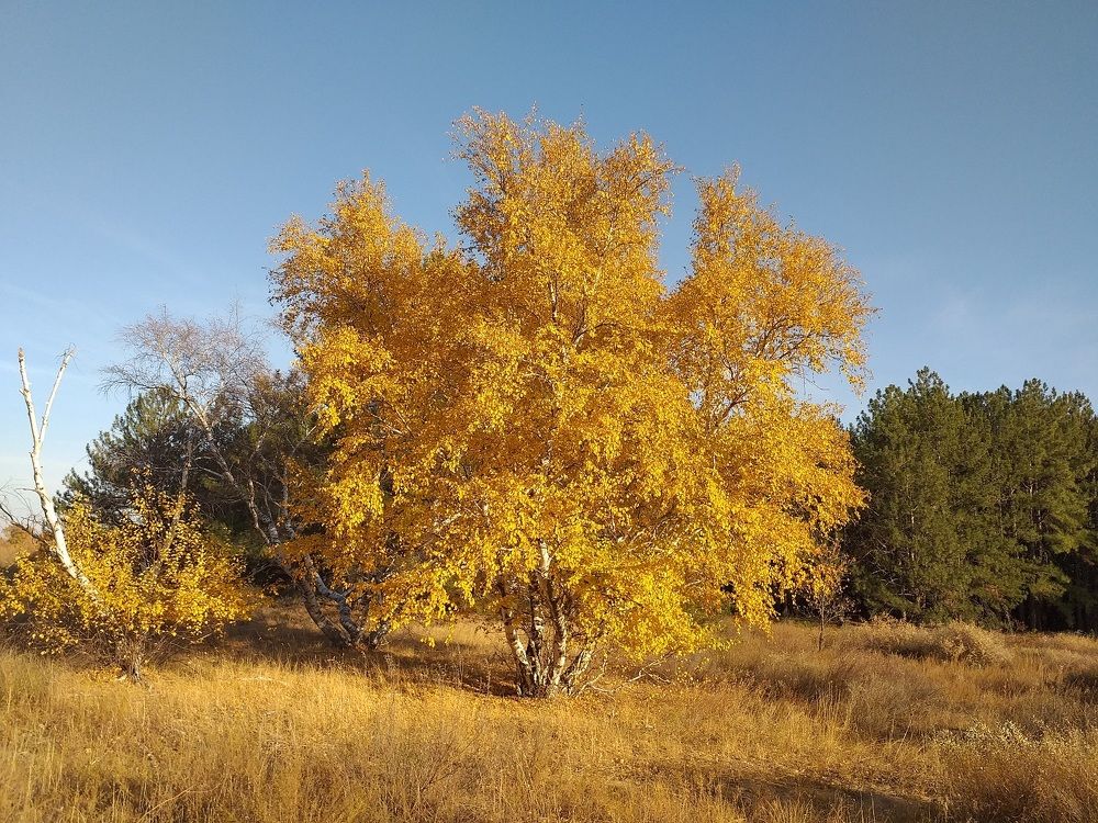 Photograph by Денис Веску