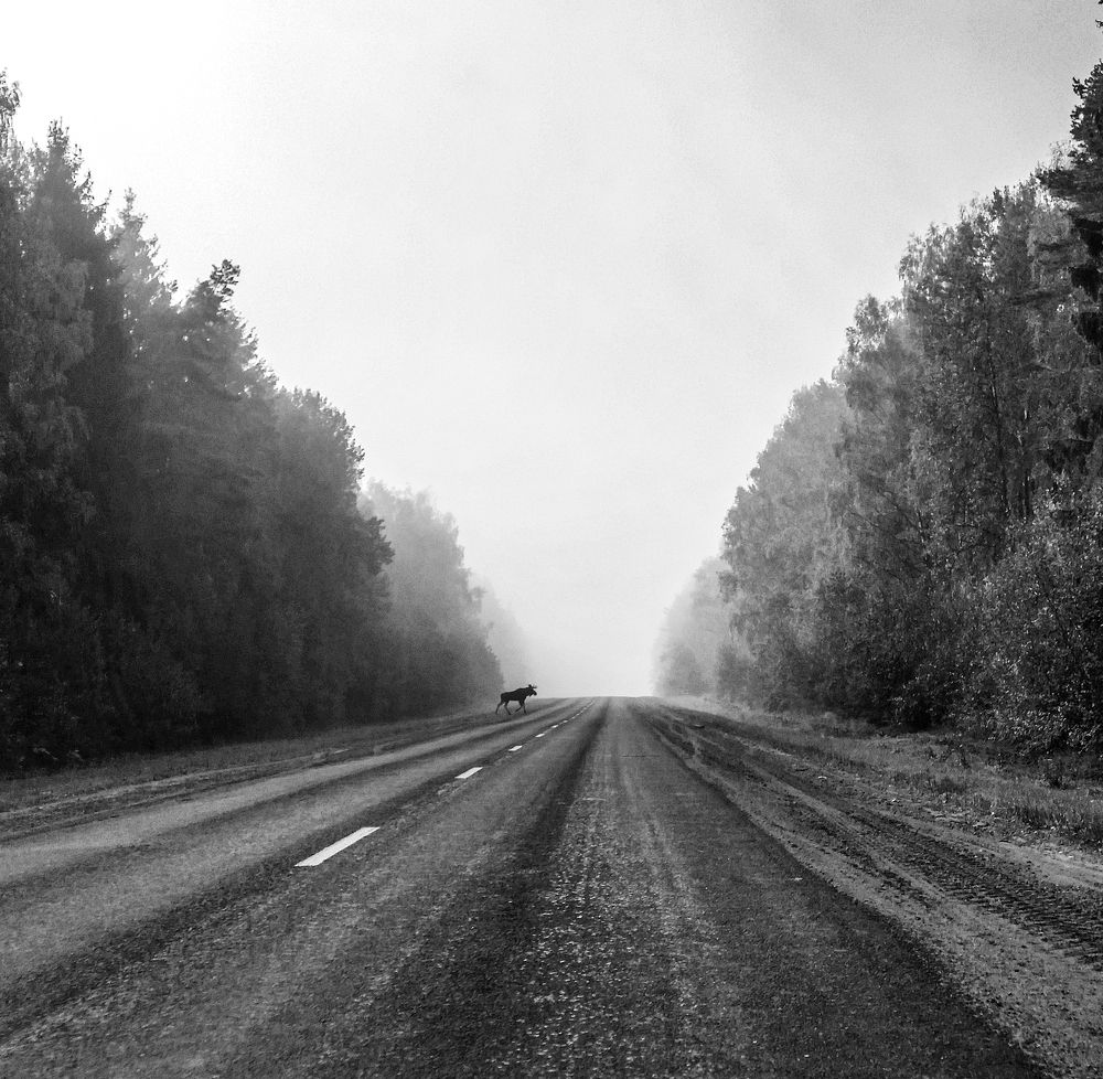 Photograph by Екатерина Кицмен