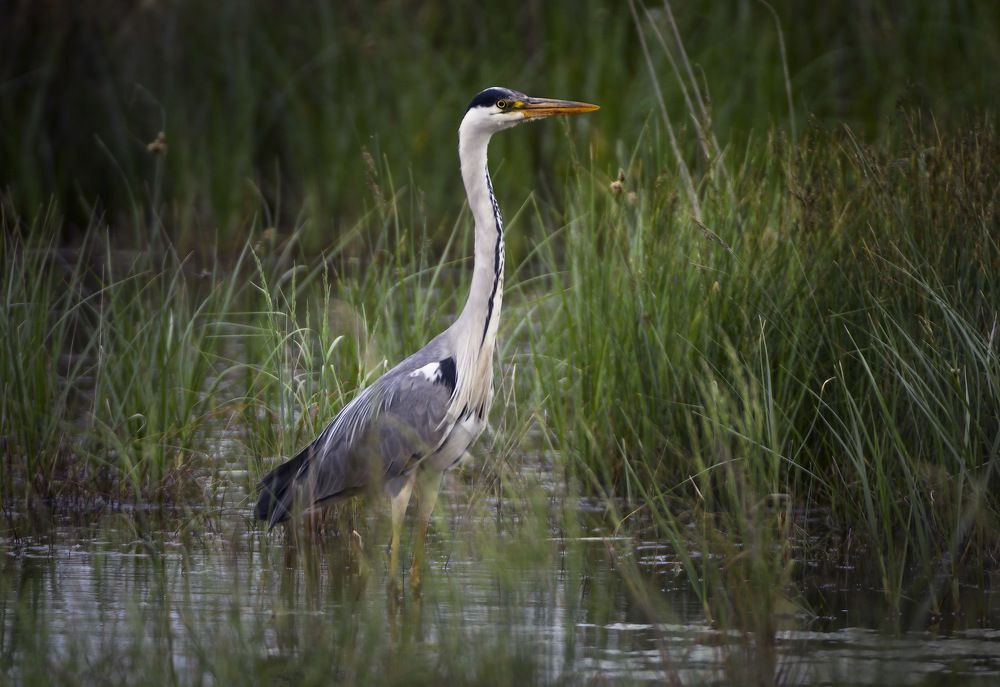 Photograph by Борис Пирог