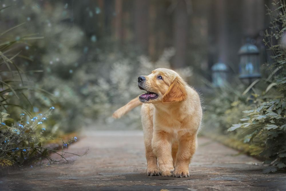 Photograph by Татьяна Тихомирова