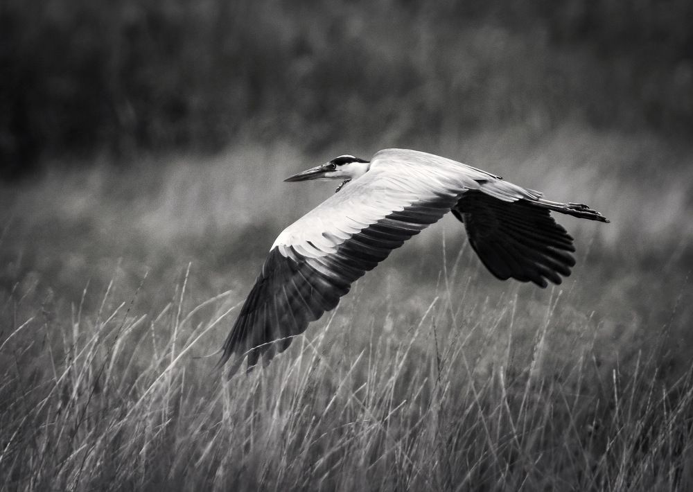 Photograph by Борис Пирог