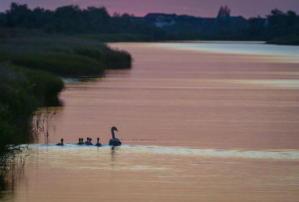 Photograph by Борис Пирог