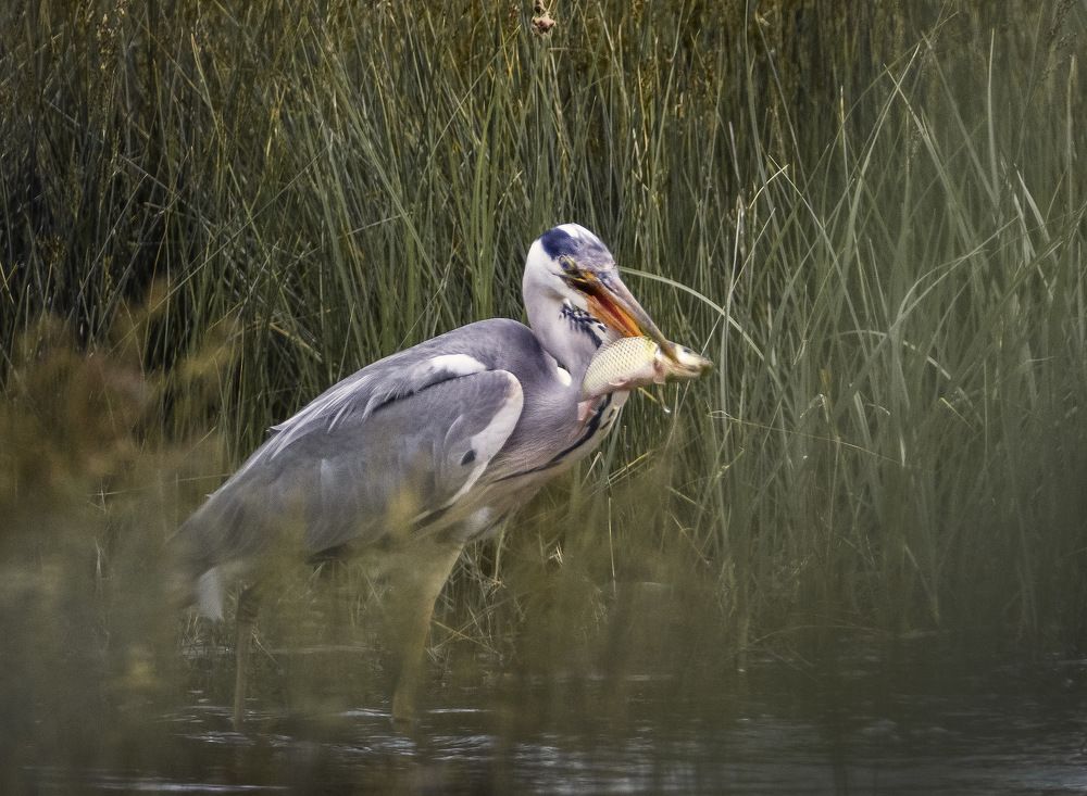 Photograph by Борис Пирог