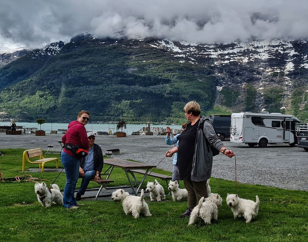 Photograph by Валентина Новицкая