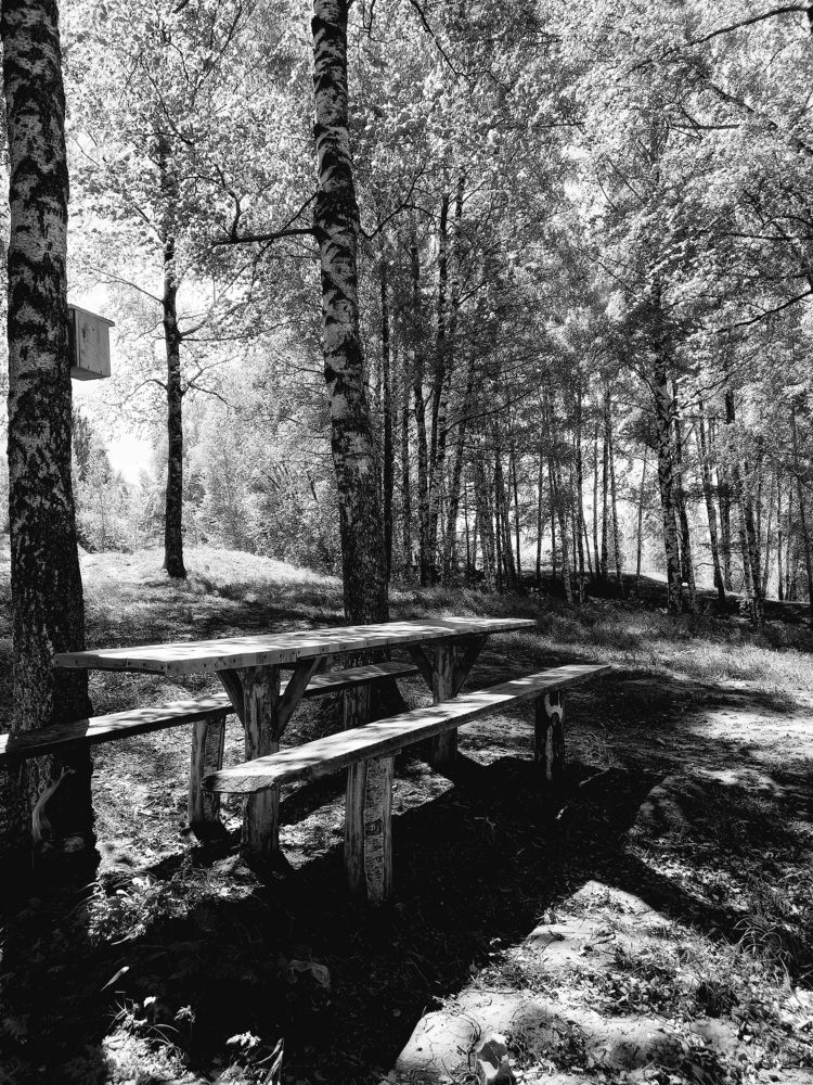 Photograph by Татьяна Иванова - Трускова