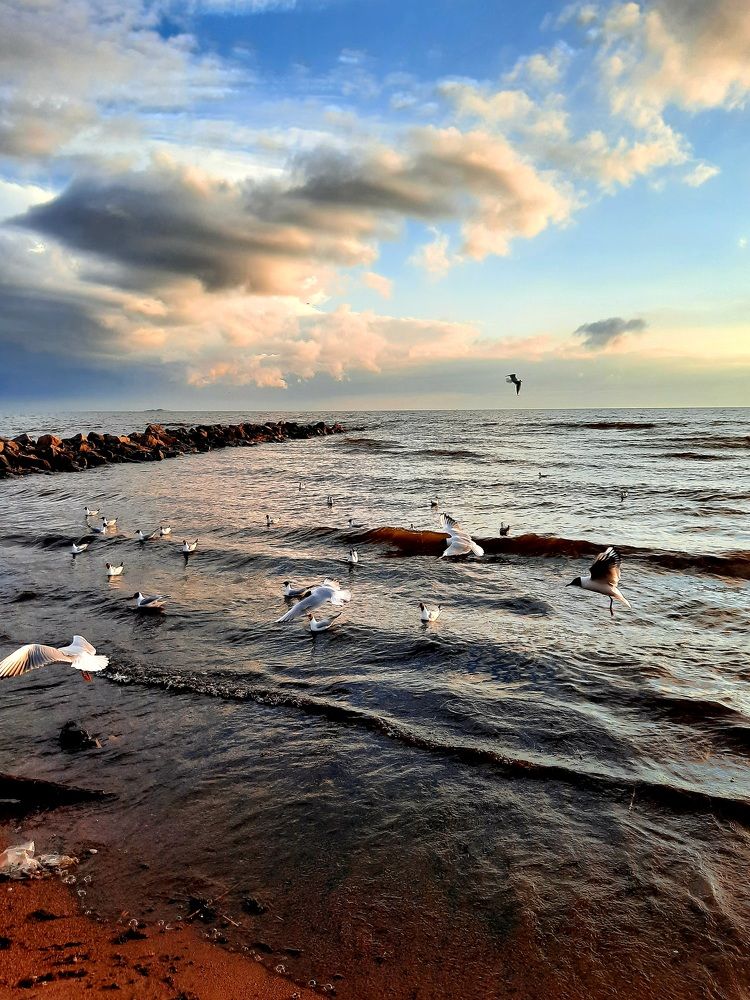 Photograph by Татьяна
