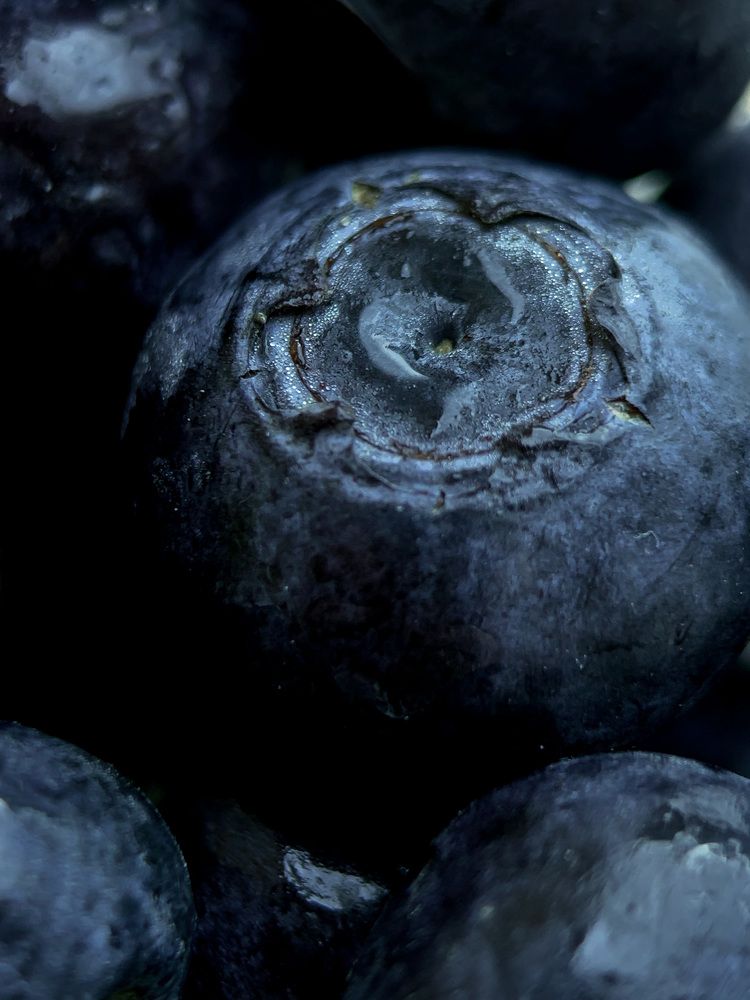 Photograph by Анна Зеленая