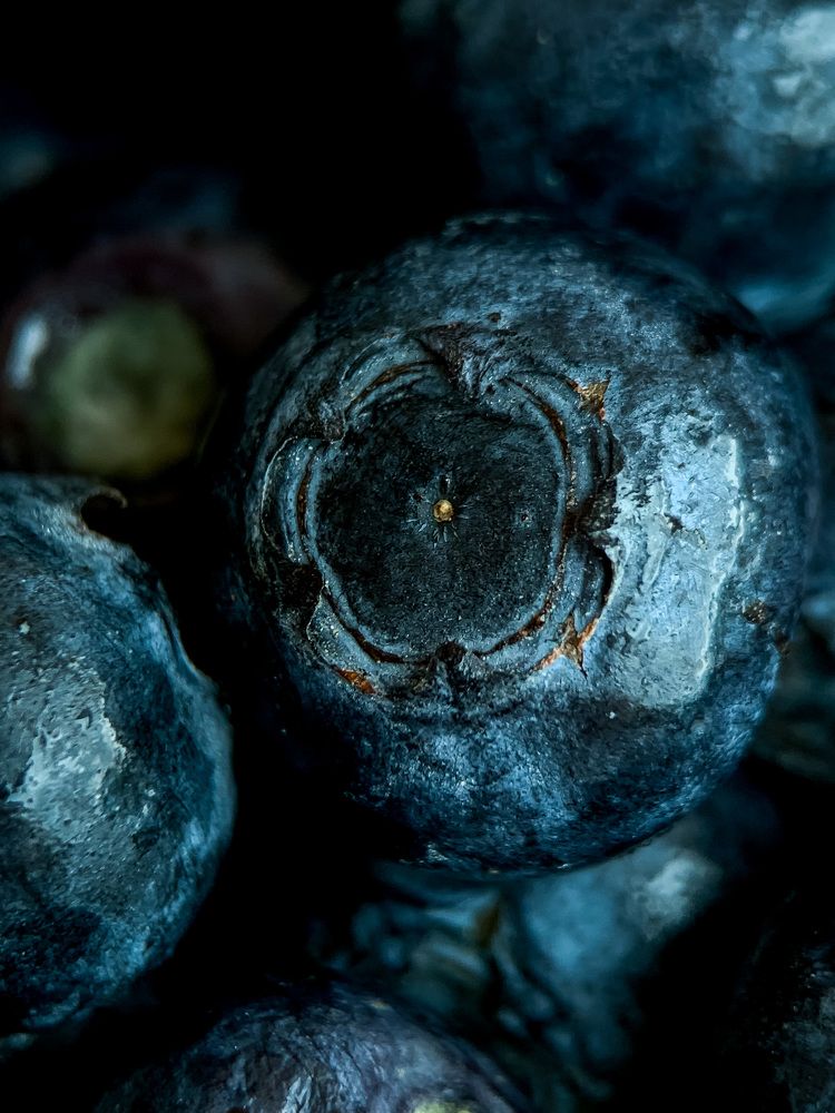 Photograph by Анна Зеленая