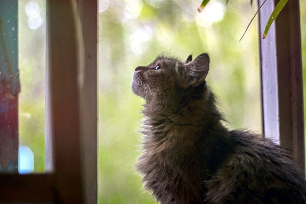 Фотография автора Дмитрий Горбылёв