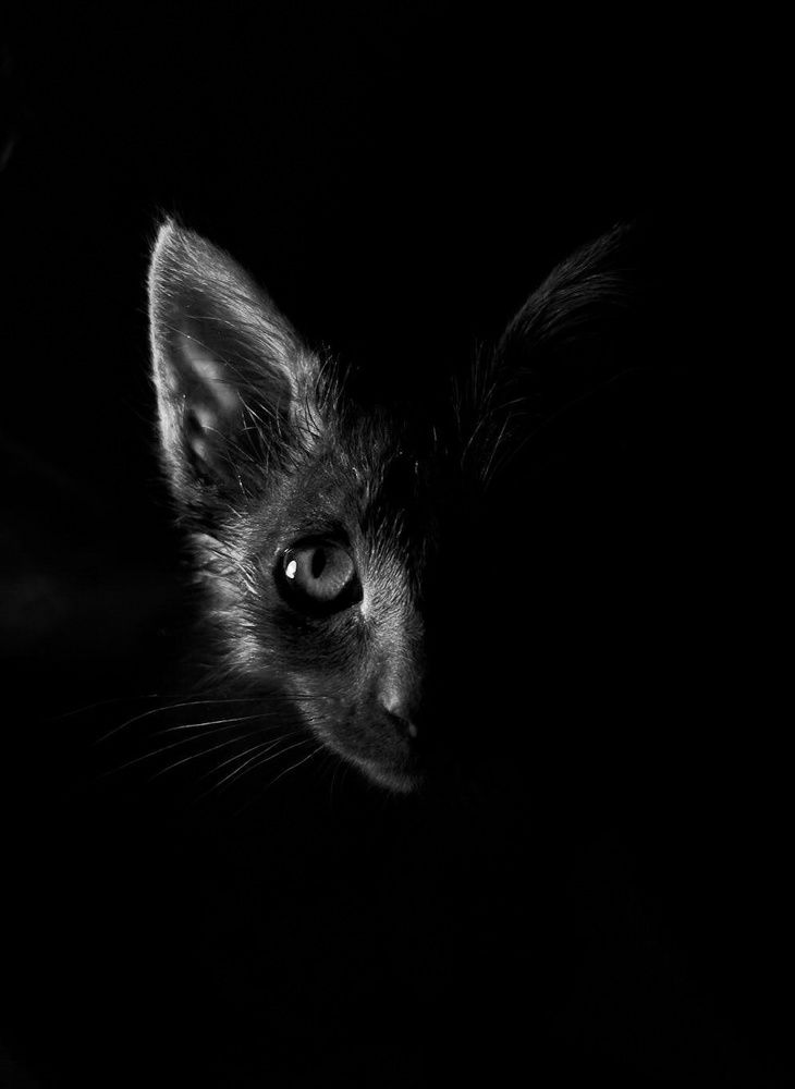 Photograph by Elena Novikova