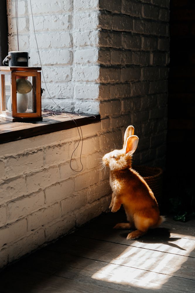 Фотография автора Александра