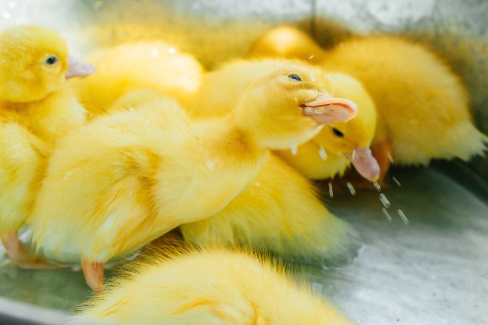 Фотография автора Александра