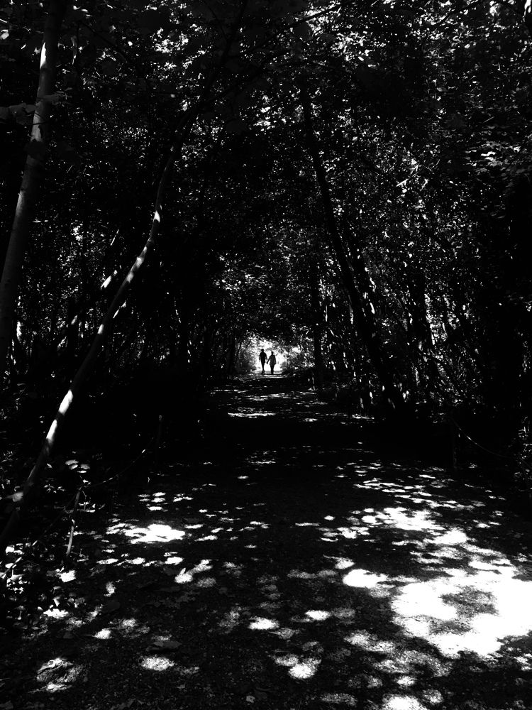 Photograph by Mehdi Ri