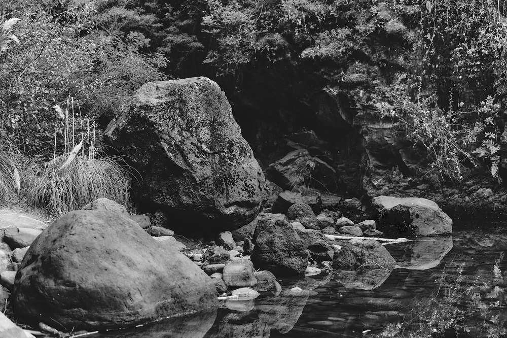 Photograph by Mario Fernando Oportus