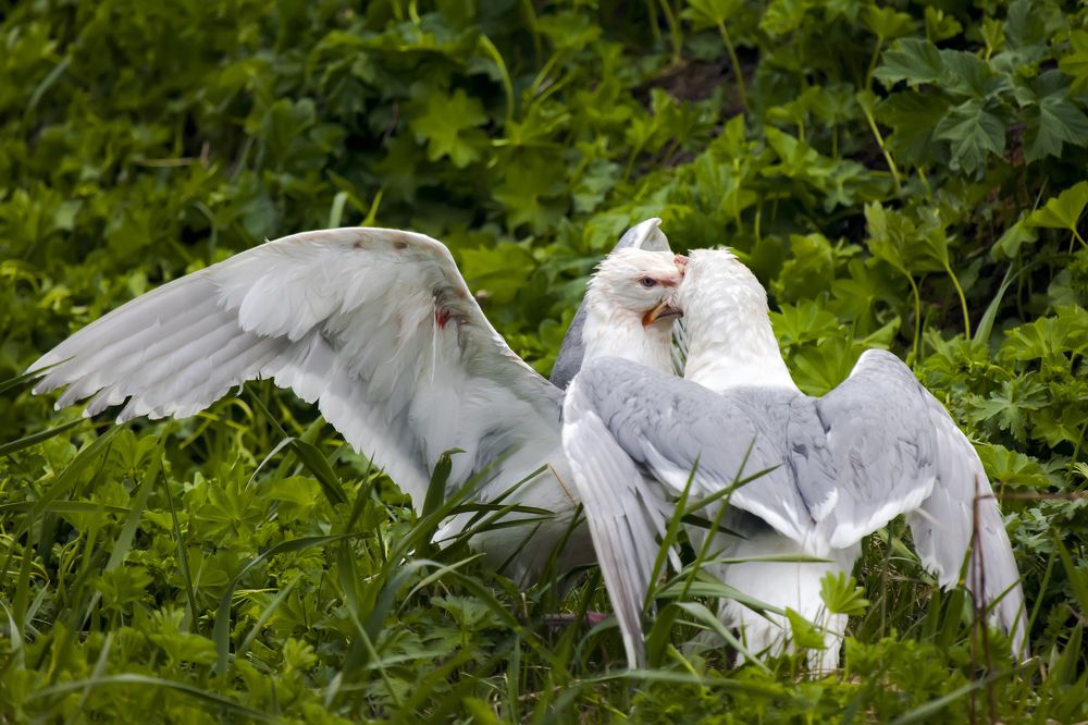 Фотография автора Дмитрий Уткин