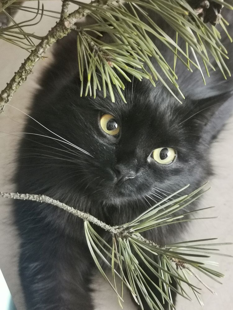 Фотография автора Ольга Матусевич