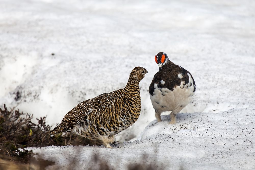 Фотография автора Дмитрий Уткин