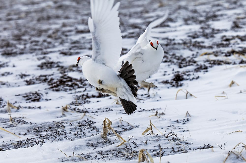 Фотография автора Дмитрий Уткин
