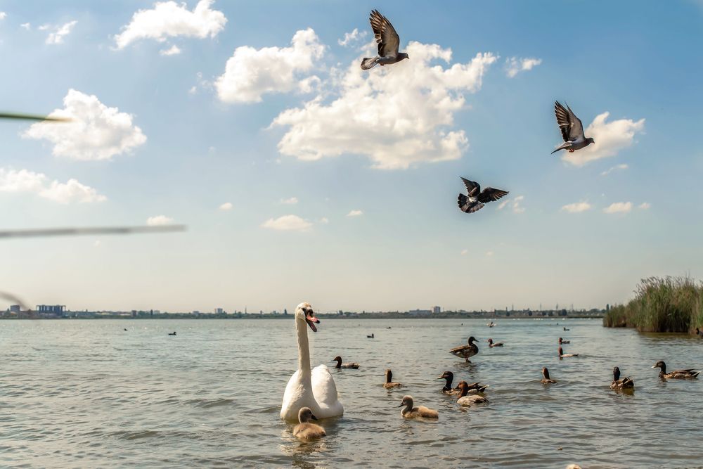 Photograph by Елена Володина