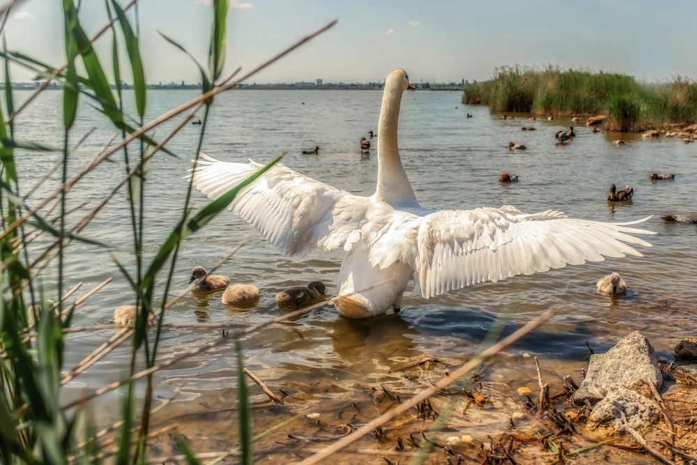 Photograph by Елена Володина