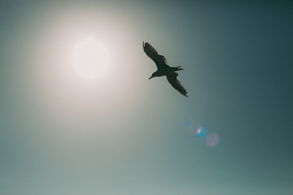 Photograph by Sunny Night