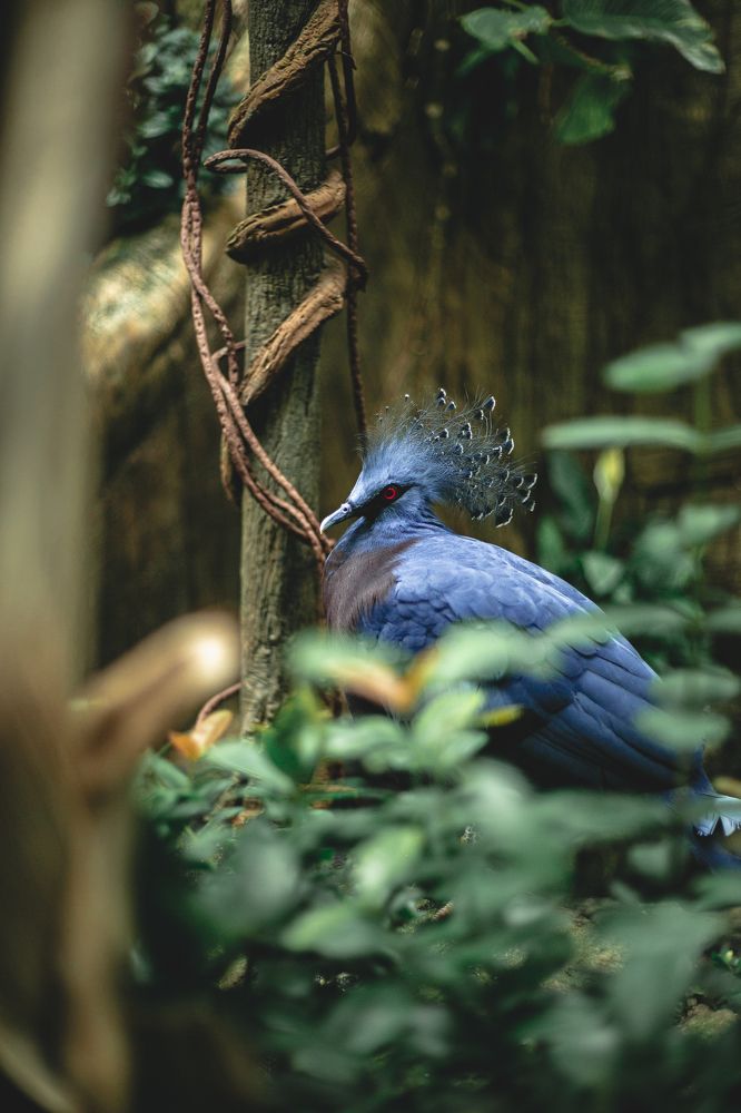 Photograph by Sunny Night