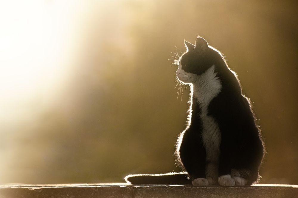 Photograph by Рохмистрова Мария