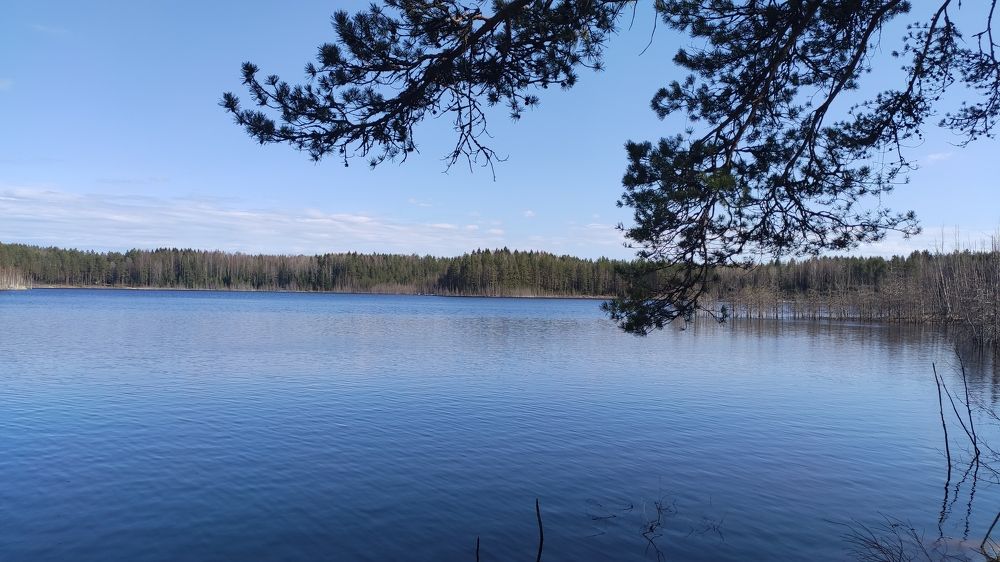 Photograph by Ольга Алешина