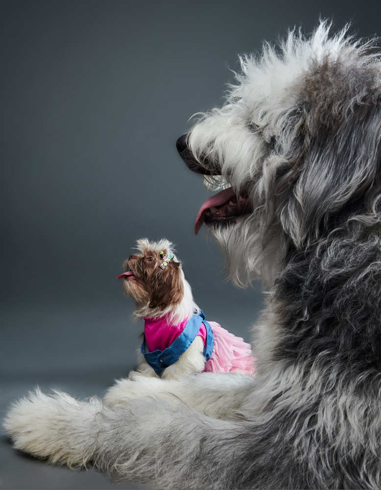 Photograph by David Zapata