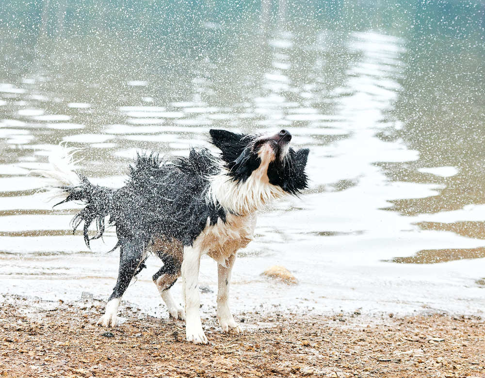 Photograph by David Zapata