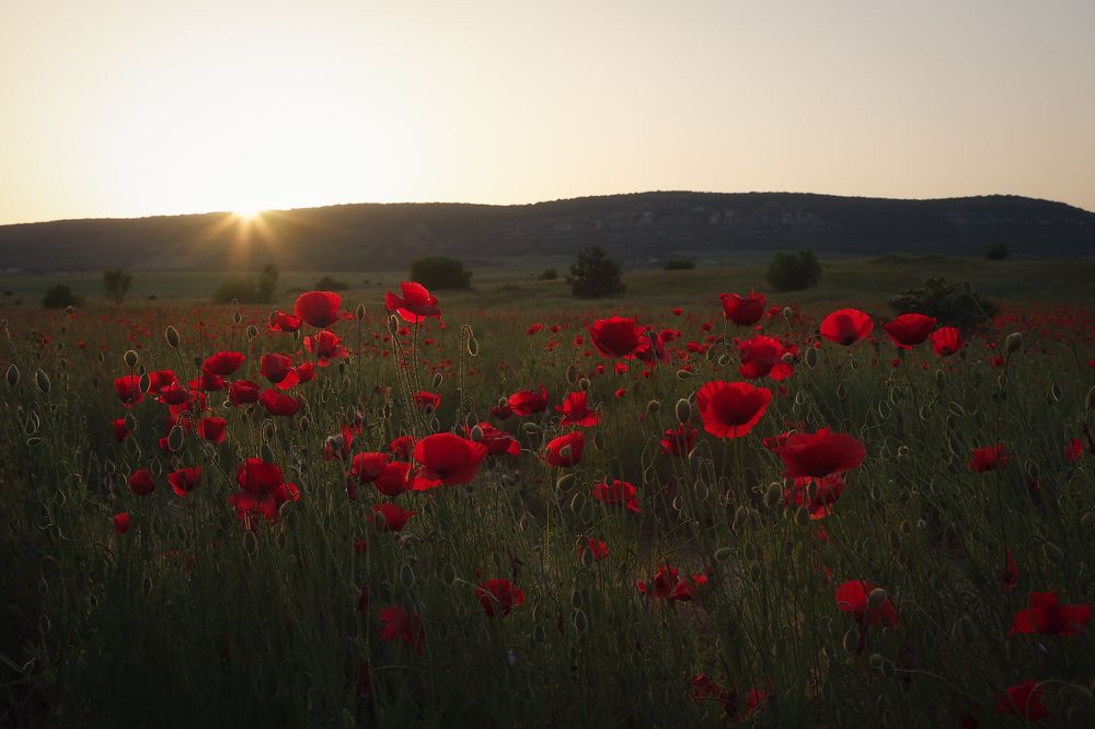Последние лучики мая...