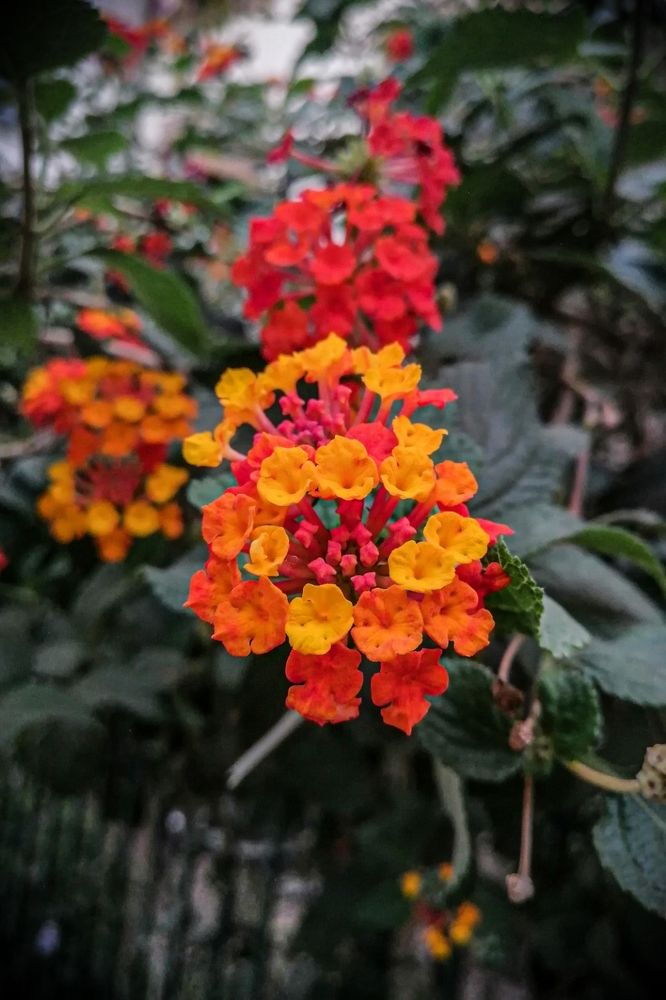 Photograph by Karla Makuc