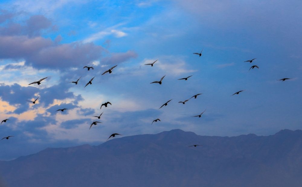 Photograph by Karla Makuc