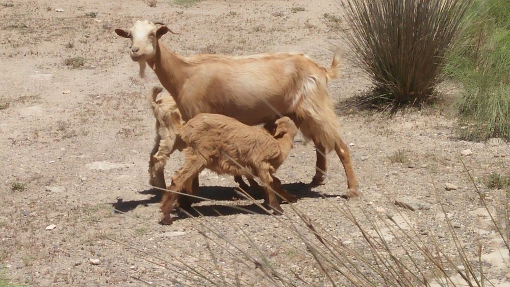 Photograph by Jellab Abdellatif