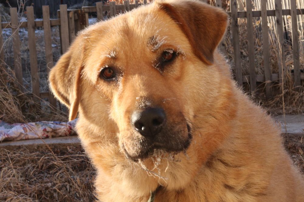 Photograph by Елена Мизина