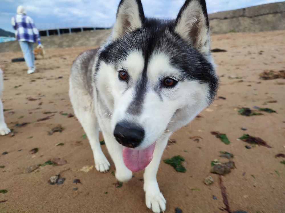 Photograph by Евгений Захаров