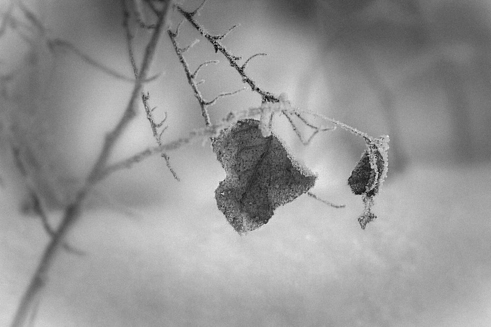 Photograph by Андрей Фадеев