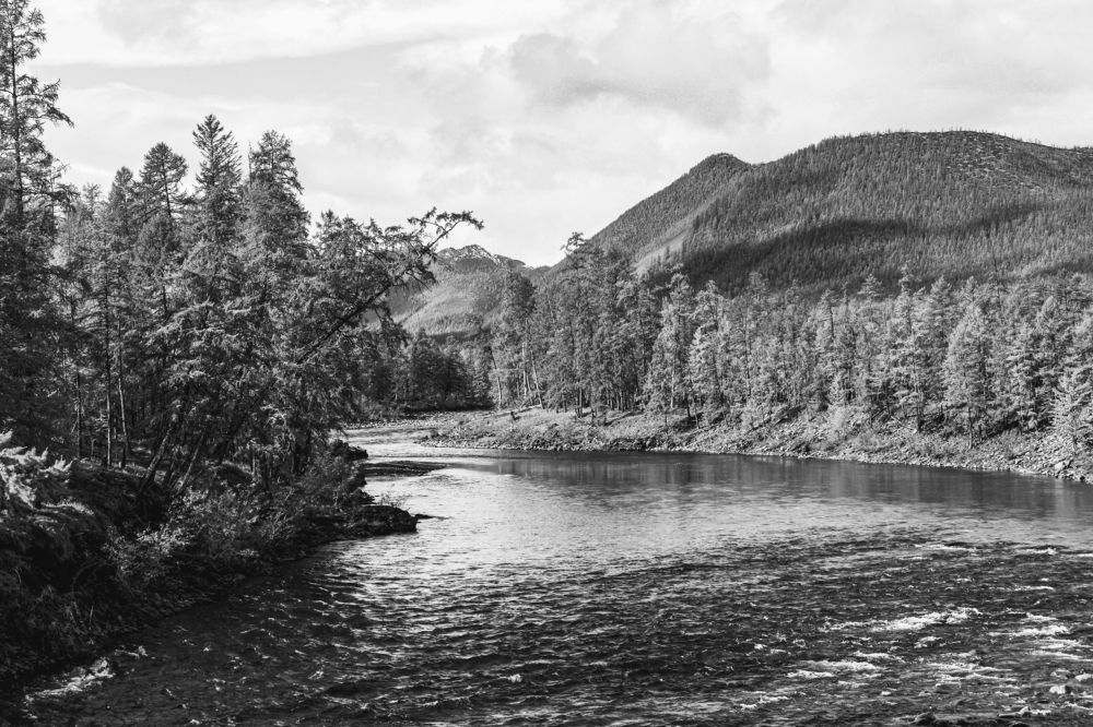 Photograph by Галина Искандарова