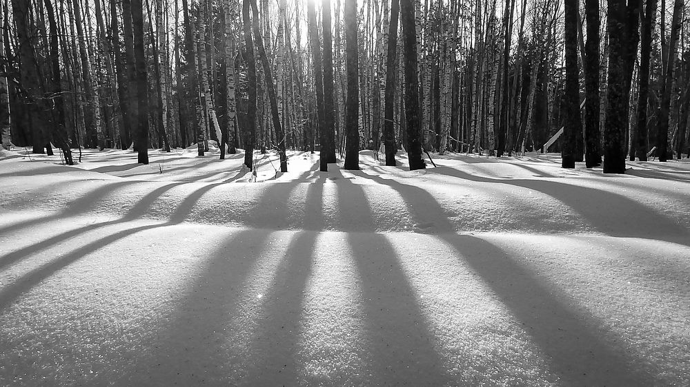 Photograph by Андрей Фадеев