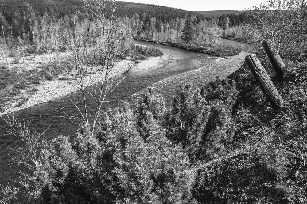 Photograph by Галина Искандарова