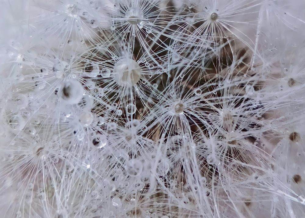 Микрогалактика