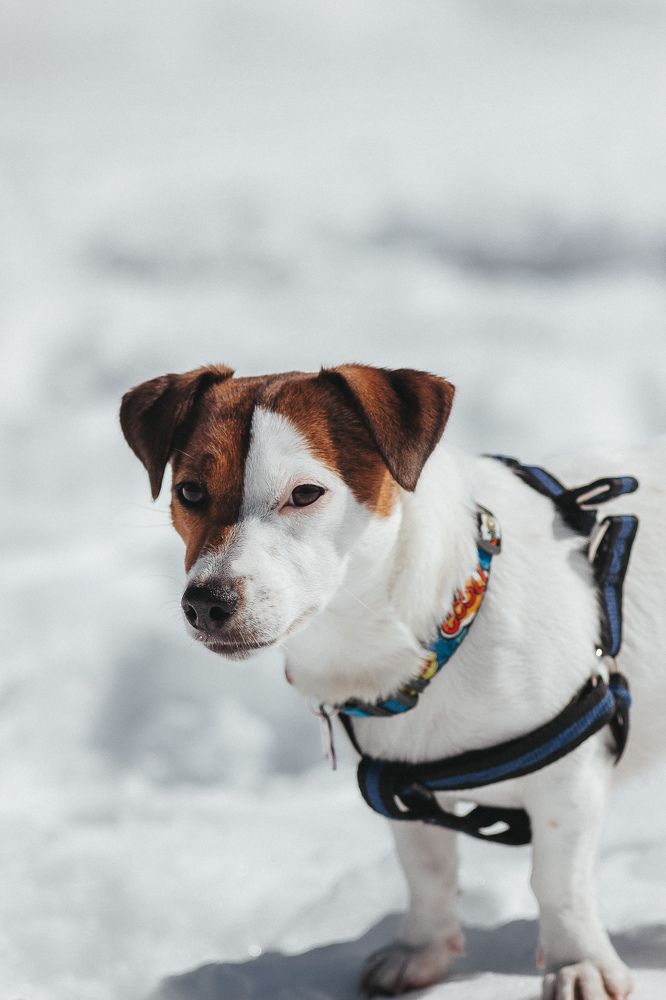 Photograph by Даниил Попков