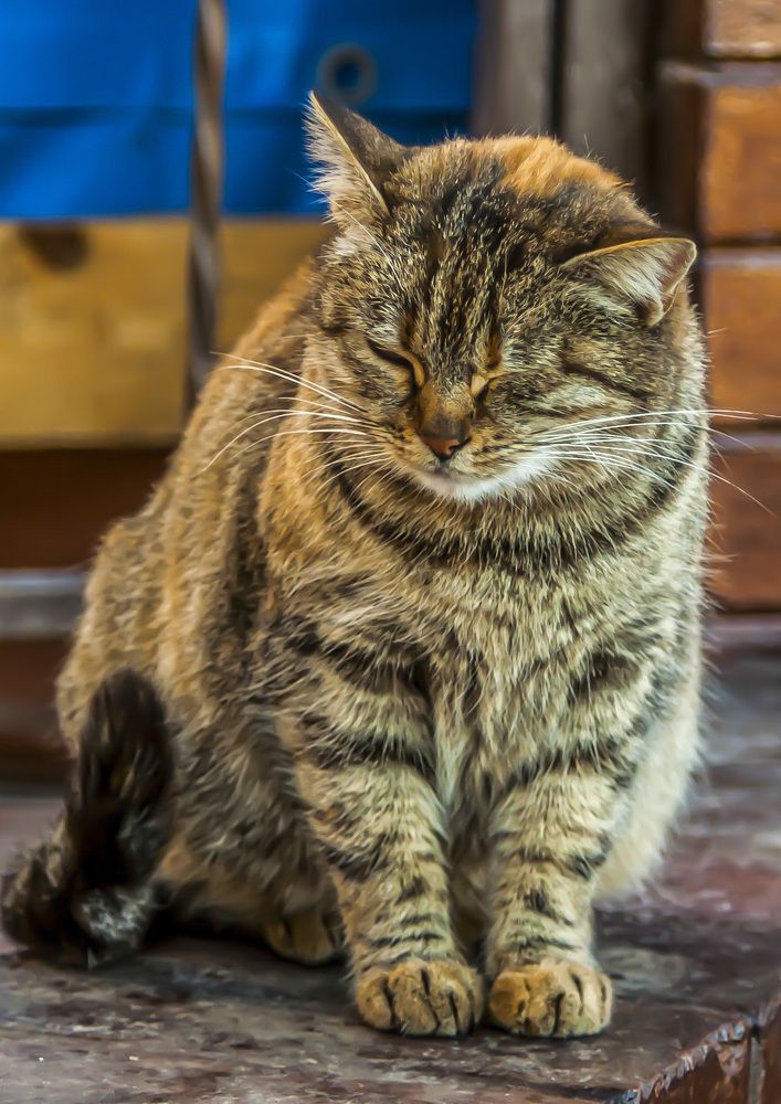 Photograph by Будаква Сергей