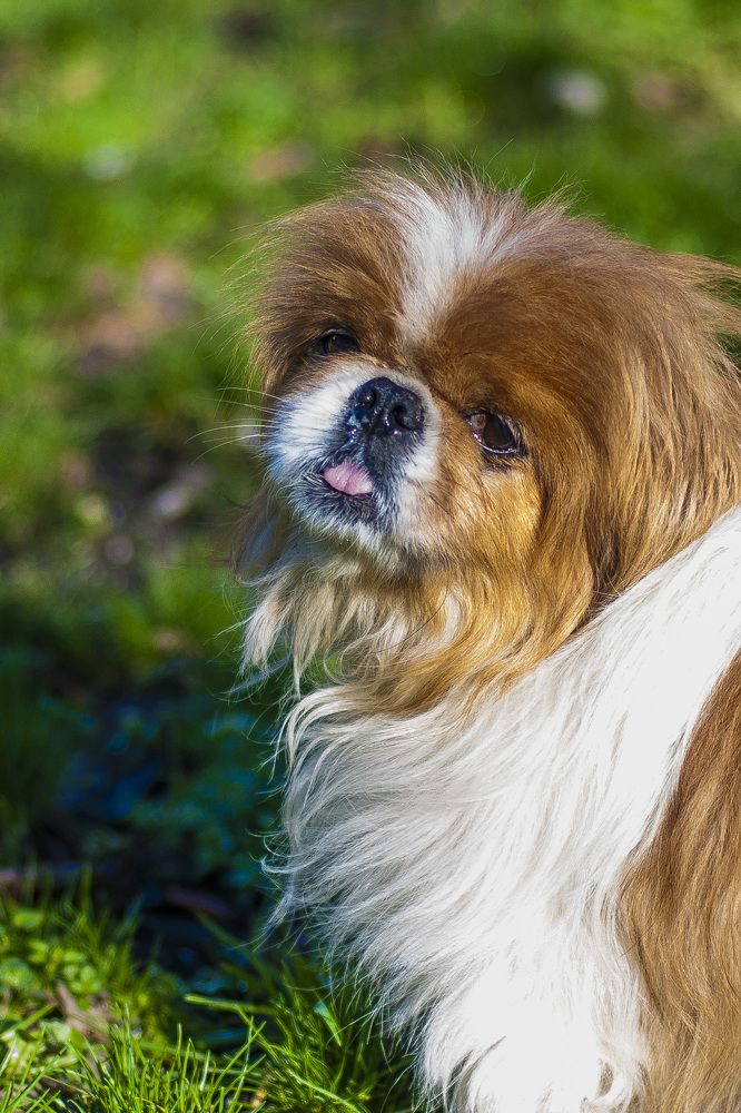 Photograph by Будаква Сергей