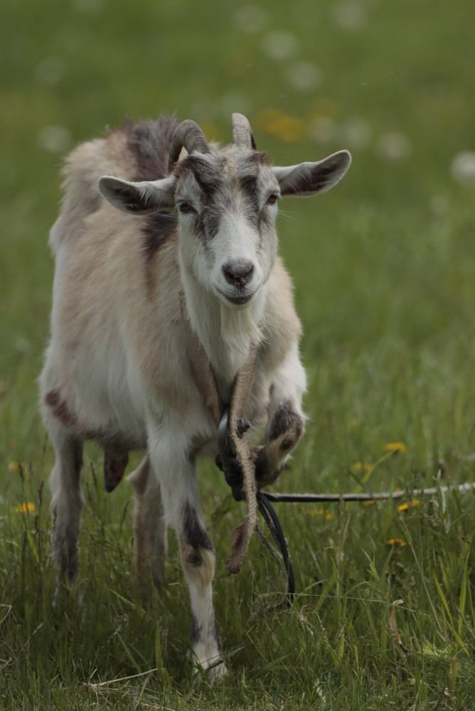 Photograph by Ирина Лисовец